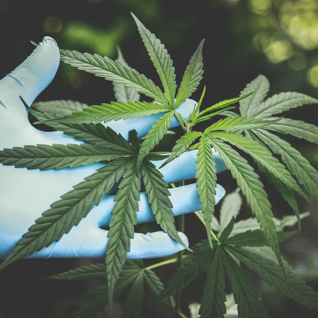 SmarterVitamins CBD