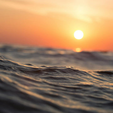 How Much Omega 3 is in Fish Oil?